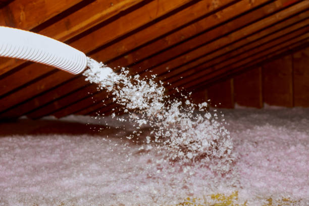 Best Spray Foam Insulation  in Seatac, WA