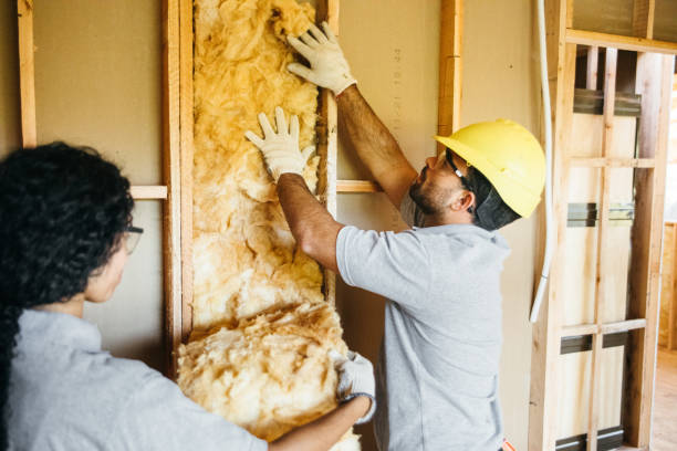 Best Residential Insulation Services  in Seatac, WA