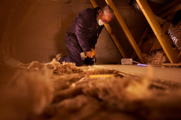 Best Insulation Contractor Near Me  in Seatac, WA